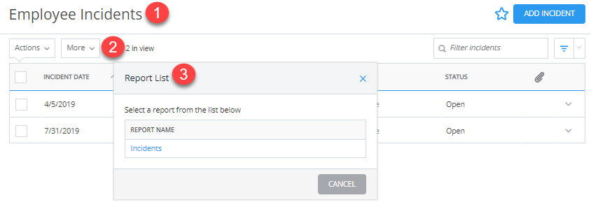 View Reports - Employee Incidents.png