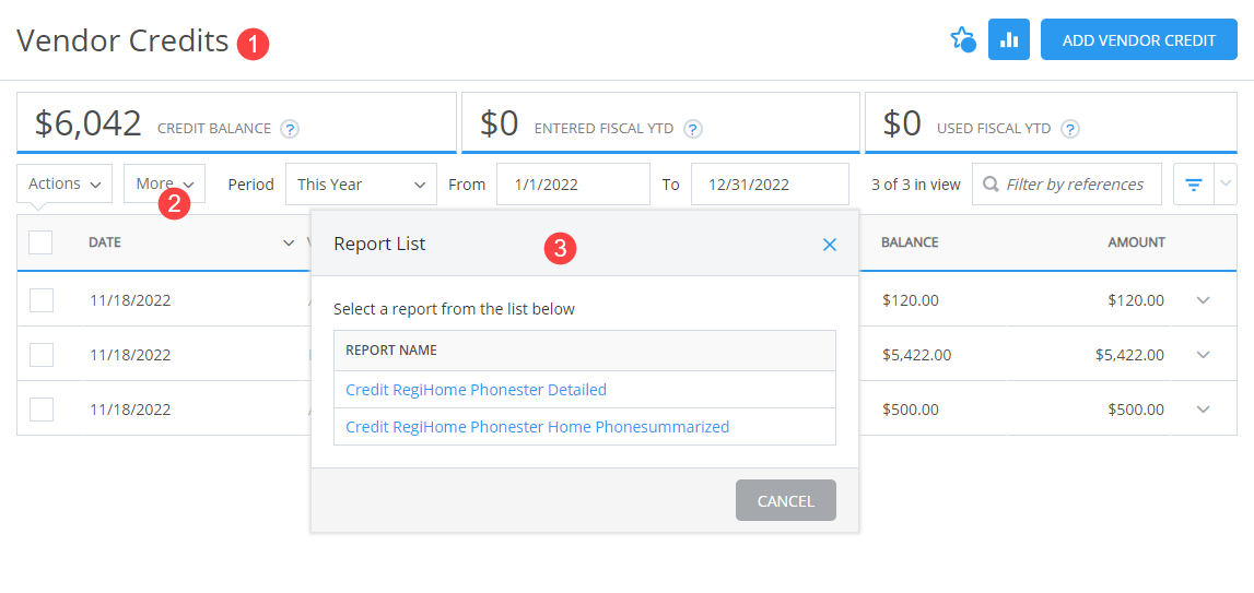 VendorCreditsReports.png