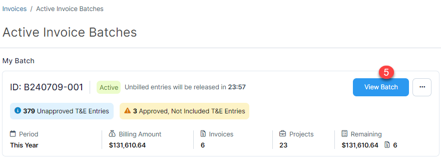 Include or Exclude Time and Expense Entries 1.png