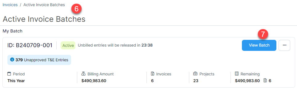 Batch Invoice View Batch.png